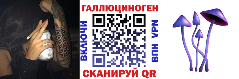 МЕГА как зайти  наркота  Салехард  Галлюциногенные грибы Psilocybine cubensis 